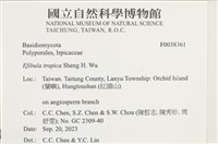 登錄號:F0038361藏品圖，第2張
