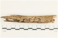 登錄號:F0038361藏品圖，第1張