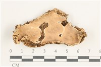 登錄號:F0038362藏品圖，第1張
