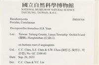 登錄號:F0038364藏品圖，第2張