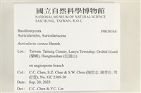 登錄號:F0038368藏品圖，第2張