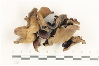 登錄號:F0038368藏品圖，第1張