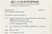 登錄號:F0038371藏品圖，第2張