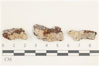 登錄號:F0038373藏品圖，第1張