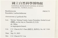 登錄號:F0038375藏品圖，第2張