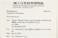 登錄號:F0038376藏品圖，第2張