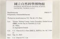 登錄號:F0038377藏品圖，第2張