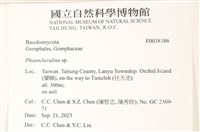 登錄號:F0038386藏品圖，第2張