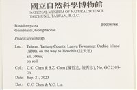 登錄號:F0038388藏品圖，第2張