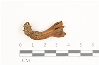 登錄號:F0038388藏品圖，第1張