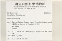 登錄號:F0038389藏品圖，第2張