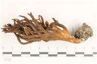 登錄號:F0038389藏品圖，第1張