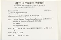 登錄號:F0038390藏品圖，第2張