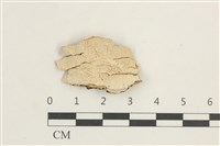 Accession Number:F0038391 Collection Image, Figure 1, Total 2 Figures