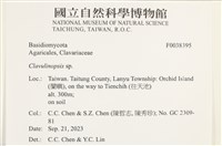 登錄號:F0038395藏品圖，第2張