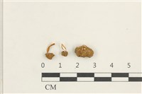 登錄號:F0038395藏品圖，第1張