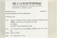 登錄號:F0038397藏品圖，第2張