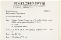 登錄號:F0038399藏品圖，第2張