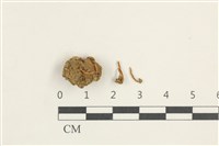 登錄號:F0038403藏品圖，第1張