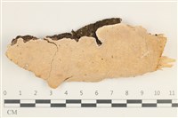 登錄號:F0038404藏品圖，第1張
