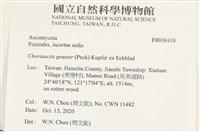 登錄號:F0038410藏品圖，第2張