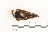 登錄號:F0038410藏品圖，第1張