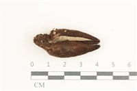 登錄號:F0038411藏品圖，第1張