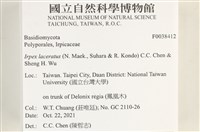 登錄號:F0038412藏品圖，第2張