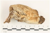 登錄號:F0038412藏品圖，第1張
