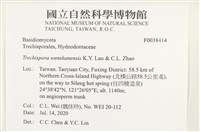 登錄號:F0038414藏品圖，第2張