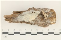 登錄號:F0038415藏品圖，第1張