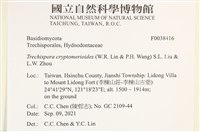 登錄號:F0038416藏品圖，第2張