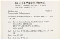 登錄號:F0038418藏品圖，第2張
