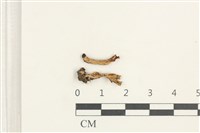 登錄號:F0038418藏品圖，第1張