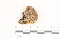 登錄號:F0038419藏品圖，第1張