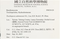 登錄號:F0038420藏品圖，第2張