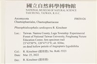 登錄號:F0038426藏品圖，第2張