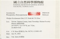 登錄號:F0038428藏品圖，第2張
