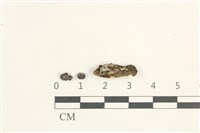 登錄號:F0038429藏品圖，第1張