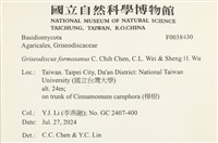 登錄號:F0038430藏品圖，第2張