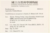 登錄號:F0038431藏品圖，第2張