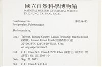 骨皮菌屬藏品圖，第2張