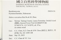 登錄號:F0038436藏品圖，第2張