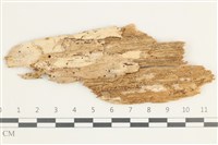 登錄號:F0038436藏品圖，第1張