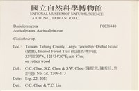 登錄號:F0038440藏品圖，第2張