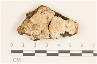 登錄號:F0038442藏品圖，第1張