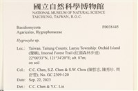 濕傘屬藏品圖，第2張