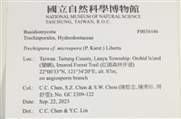 登錄號:F0038446藏品圖，第2張