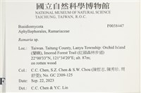 登錄號:F0038447藏品圖，第2張