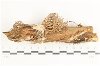 登錄號:F0038447藏品圖，第1張